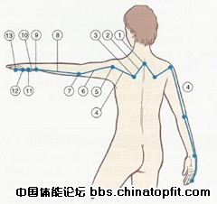 非常に高い品質 肩 背中 首筋他色々 リラクゼーショングッズ